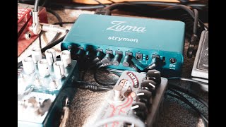買ったので】STRYMON ( ストライモン ) / Zumaを購入したので - YouTube