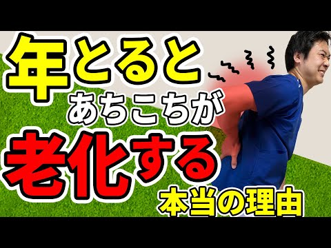 うさぎの麻痺、早期発見がカギ！症状と自宅ケア