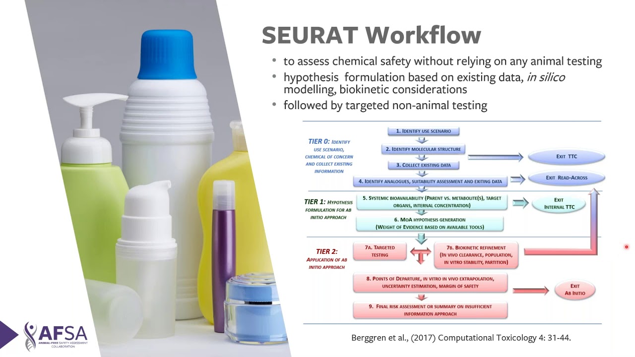 Use of New Approach Methodologies for Cosmetic Safety Assessment ...