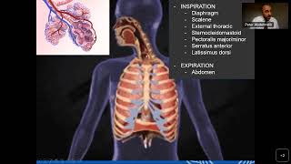 Providing Critical Care to the Myasthenia Patient screenshot 5