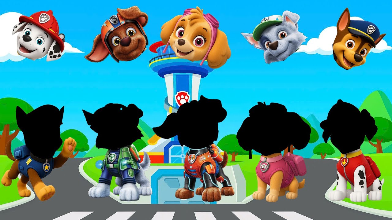 Wrong eyes👀 Paw Patrol Ultimate Rescue Full Episodes - DAME TU COSITA Funny Wrong Head