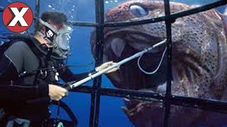 TOP 07 ANIMAIS ASSUSTADORES QUE POR SORTE ESTÃO EXTINTOS l Almanaque x