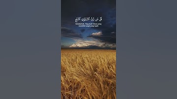 القران الكريم #راحة_نفسية / اللهم صلِّ على محمد وآل محمد