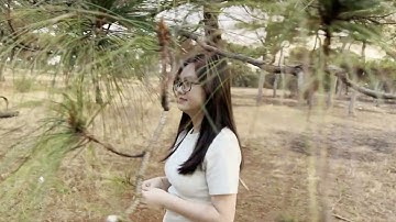 Nhắm Mắt Thấy Mùa Hè l Đồi Cỏ Hồng Đăk Đoa - Gia Lai