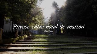 David Stănuș | Privesc către norul de martori