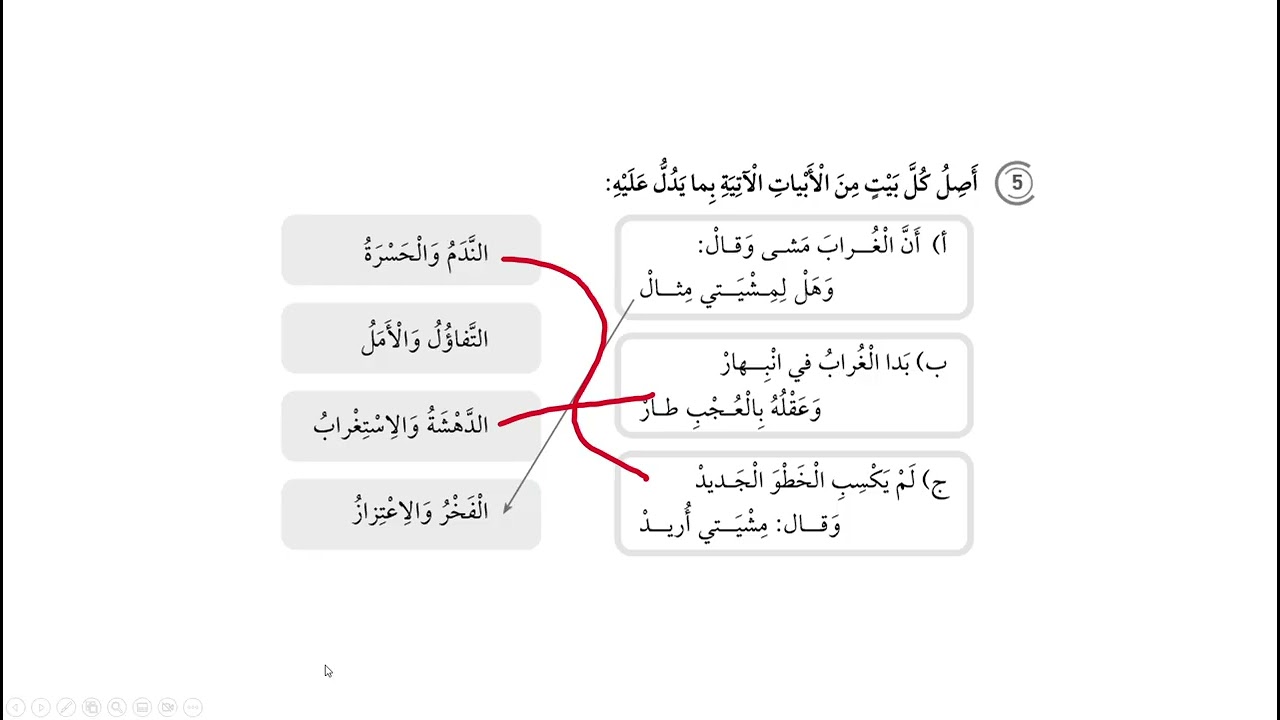 حل كتاب التمارين /الوحدة الثامنة/ الصف الخامس