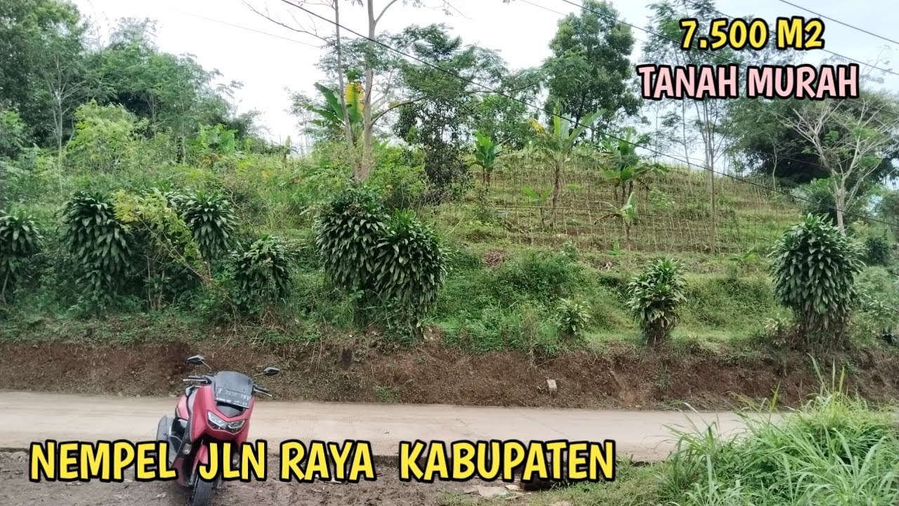Dijual Tanah Sterategis Nempel Jalan Raya Kabupaten Cocok Bangun Villa Berkebun/Invess