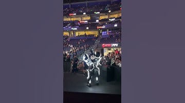 JAKE PAUL’S “THE PROBLEM BOT”  STRUTTING AROUND MEETING FANS