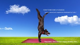 DOG JOINT SUPPLEMENT | Flexidog by Simply Pets Online 977 views 7 years ago 46 seconds