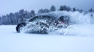 Тигр в Снегу/Tiger in snow Subaru STI