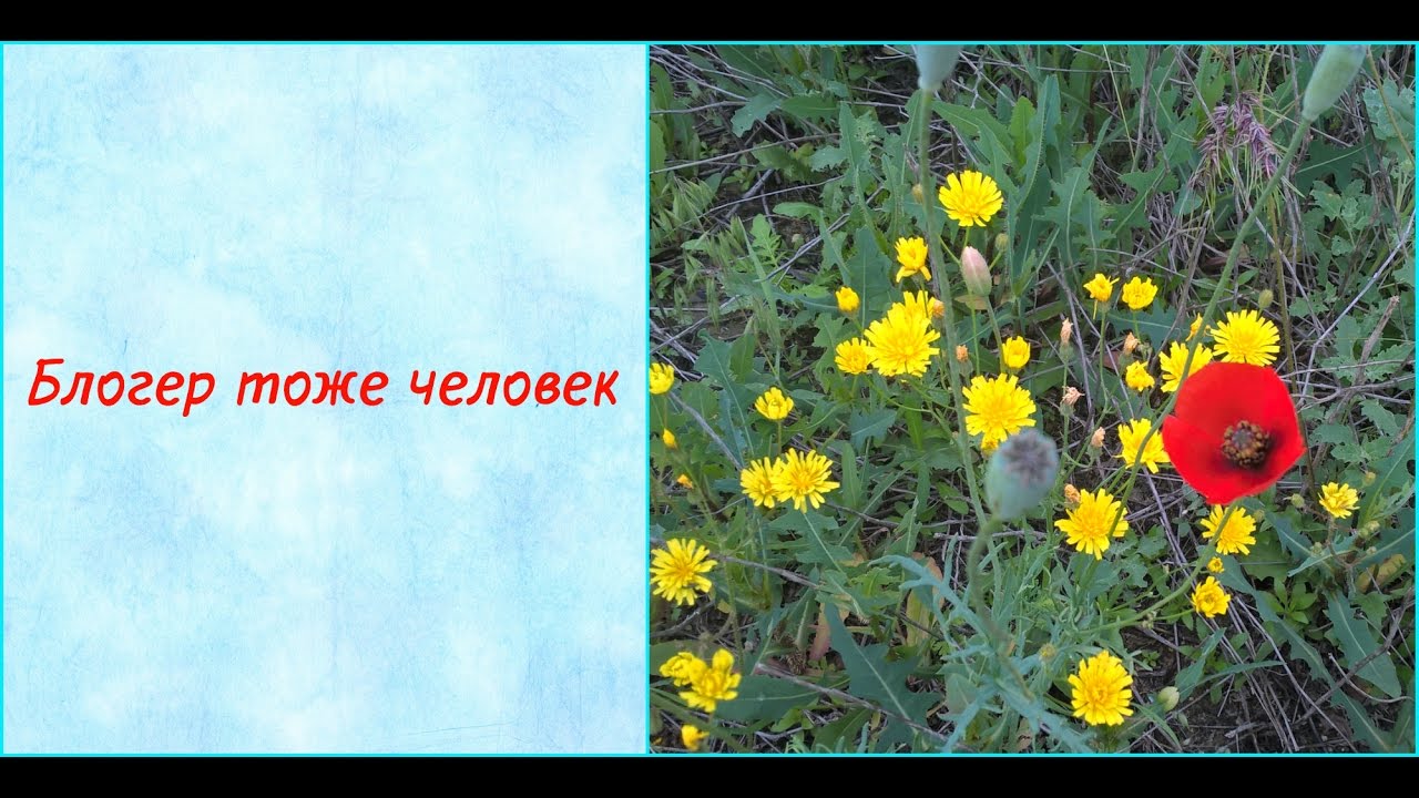 TAG: Блогер тоже человек