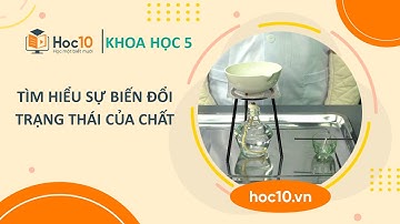 Tìm hiểu sự biến đổi trạng thái của chất - Khoa học 5 | Hoc10