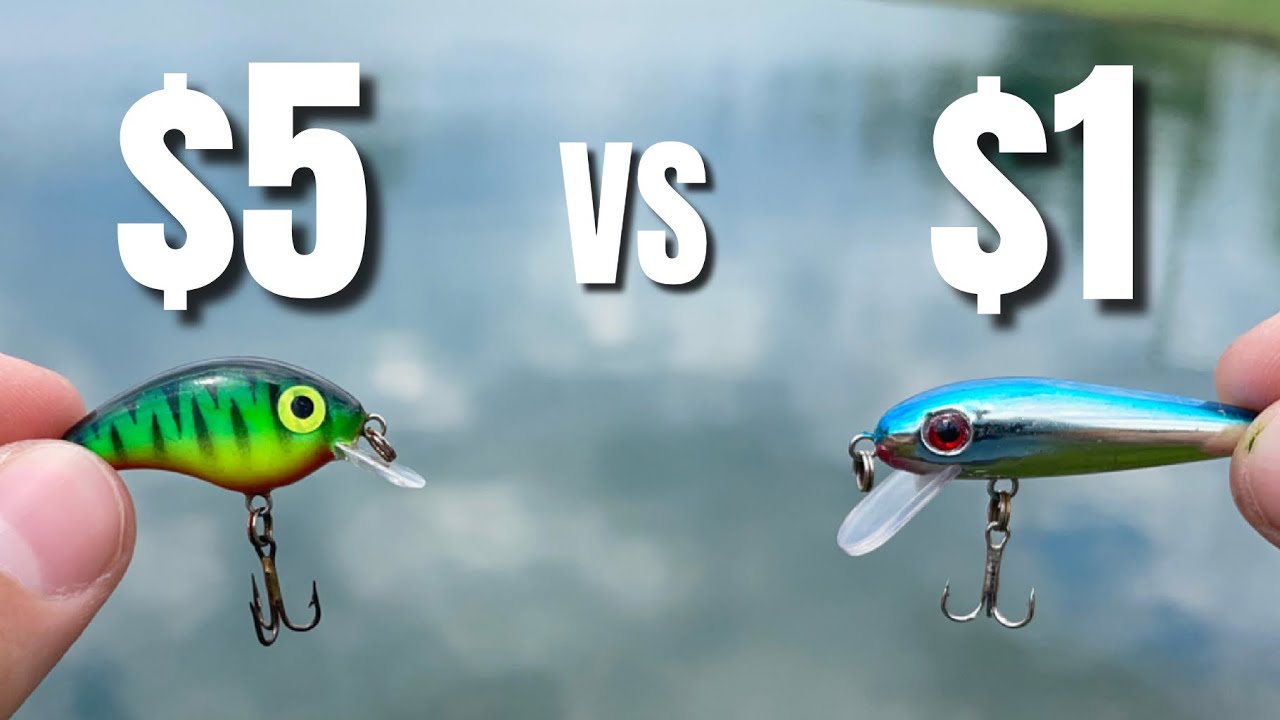 CHEAP vs EXPENSIVE Crankbait (Which is Better?) 