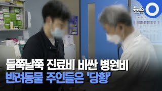 들쭉날쭉 진료비 비싼 병원비.. 반려동물 주인들은 '당황' / OBS 뉴스오늘