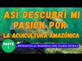 ENTREVISTA AL ING  AXEL FLORES DUEÑAS  PRIMERA PARTE