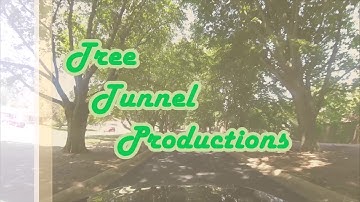 Tree Tunnel Productions Logo
