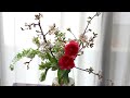 桜の生け花をおうちで上手に活けるコツ【おうちフラワー#29】