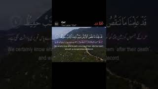 Surah Qaf status ayat 3-5