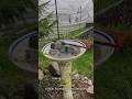 DIY Birdbath from thrifted items