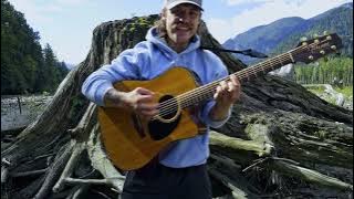 Quick & Dirty #29: Mike North - Willow Tree (Sticky Fingers Cover)