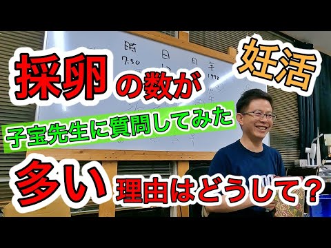 【妊活】採卵の数が多い理由はどうして？【子宝先生に質問してみた】