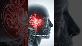 Cochlear Implant | Children Cochlear Implant | Anand ENT Hospital