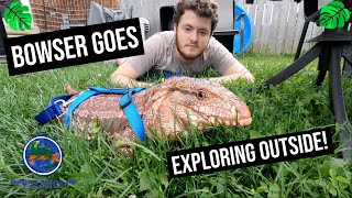 Letting Our Tegu Go Outside!