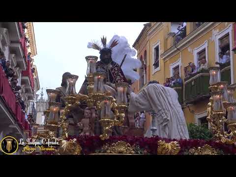Fervorosa Hermandad y Cofradía de Nazarenos de Nuestro Padre Jesús de la Salud y Buen Viaje, María Santísima Madre de los Desamparados, San Juan de Ribera y Protomártir San Esteban