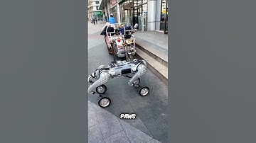 ReAction Video: Stairway to the Future - 4-Legged Robot w/ Wheels Takes Steps w/ Ease #shorts #viral