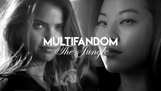 Multifandom - the Jungle