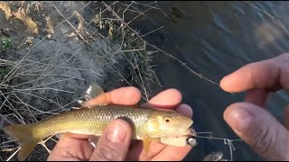 After work shore fishing session for anything that bites in February