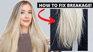 How to Fix Hair Breakage- Damaged Hair to Healthy Hair Care Tips