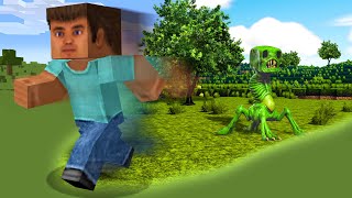 If I Touch Grass Minecraft Gets More Realistic