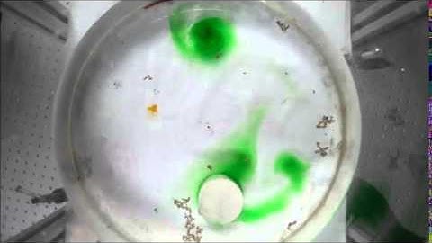 Taylor Column (www.gmfl.in)