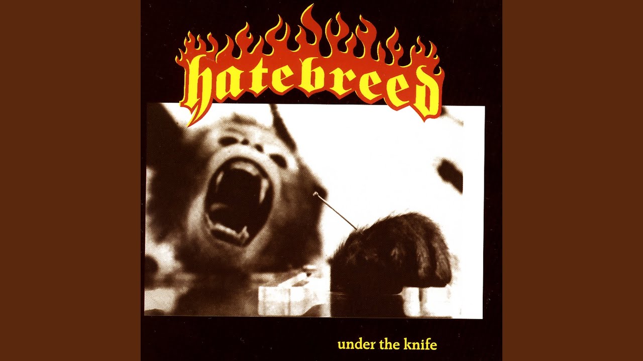 Under The Knife - YouTube