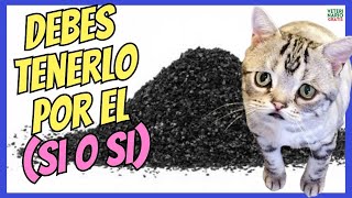 ¿COMO USAR EL CARBÓN ACTIVADO PARA GATOS ENVENENADOS?