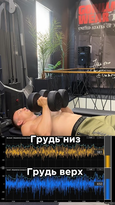 Жим свенда по науке - YouTube