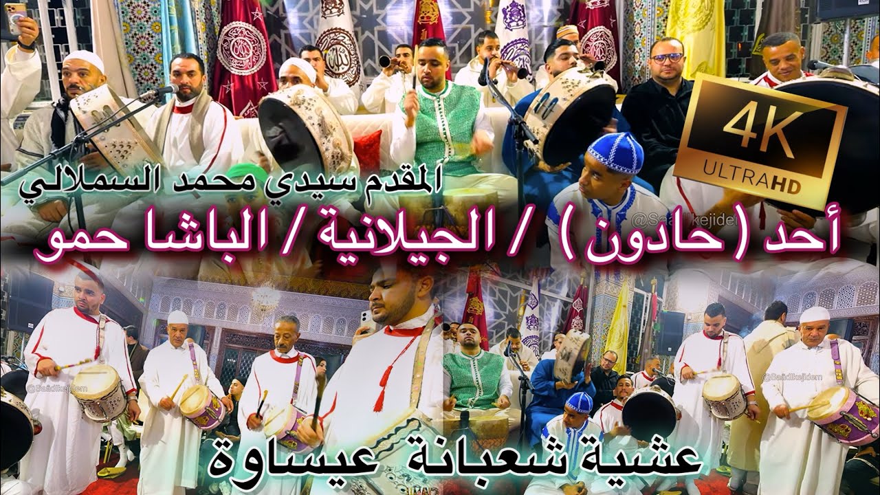 Issawa 4K Allah Allah عيساوة | حادون الجيلالية- الباشا حمو | المقدم محمد السملالي ليلة شعبانة 