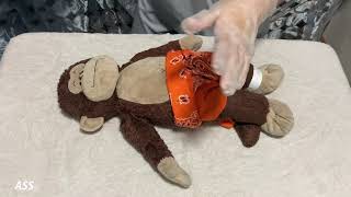 Assessment of the newborn at birth (Newborn assessment) - Return Demonstration | Nursing
