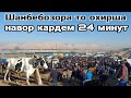 Шанбебозора то охирша камера кадем Нархи бука говои махали ва жывой весь 18 декабря 2021 г.