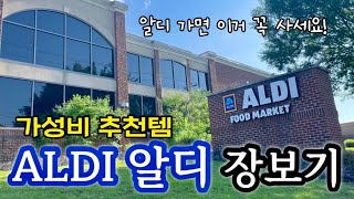 [미국 일상 Vlog] 미국 마트 알디 ALDI 장보기, 가성비 좋은 알디 제품 추천