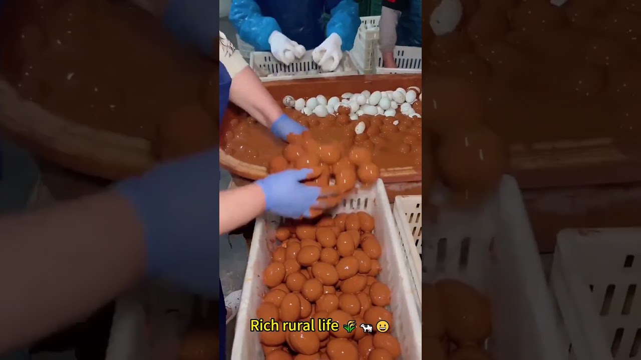 Rich rural life 🌾🐄😀