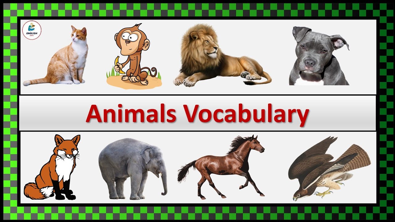 🔆 Animals Vocabulary | level 0 & 1 | Vocabulary with Pictures | Listen ...