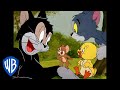 Tom  jerry  best side characters  classic cartoon compilation  wb kids