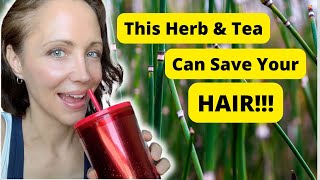 HORSETAIL TEA BENEFITS!: How This Herb and Tea Can Save Your Hair (and so much more!)