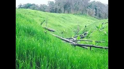 #ČANGhmangDLIÊKRƠNGLÖwitmda - Nhạc Êđê.  -Cang hmang DLIÊ kmrơng lõ wit mda - Nhạc Êđê