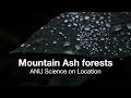 ANU Science on Location: Mountain Ash forests