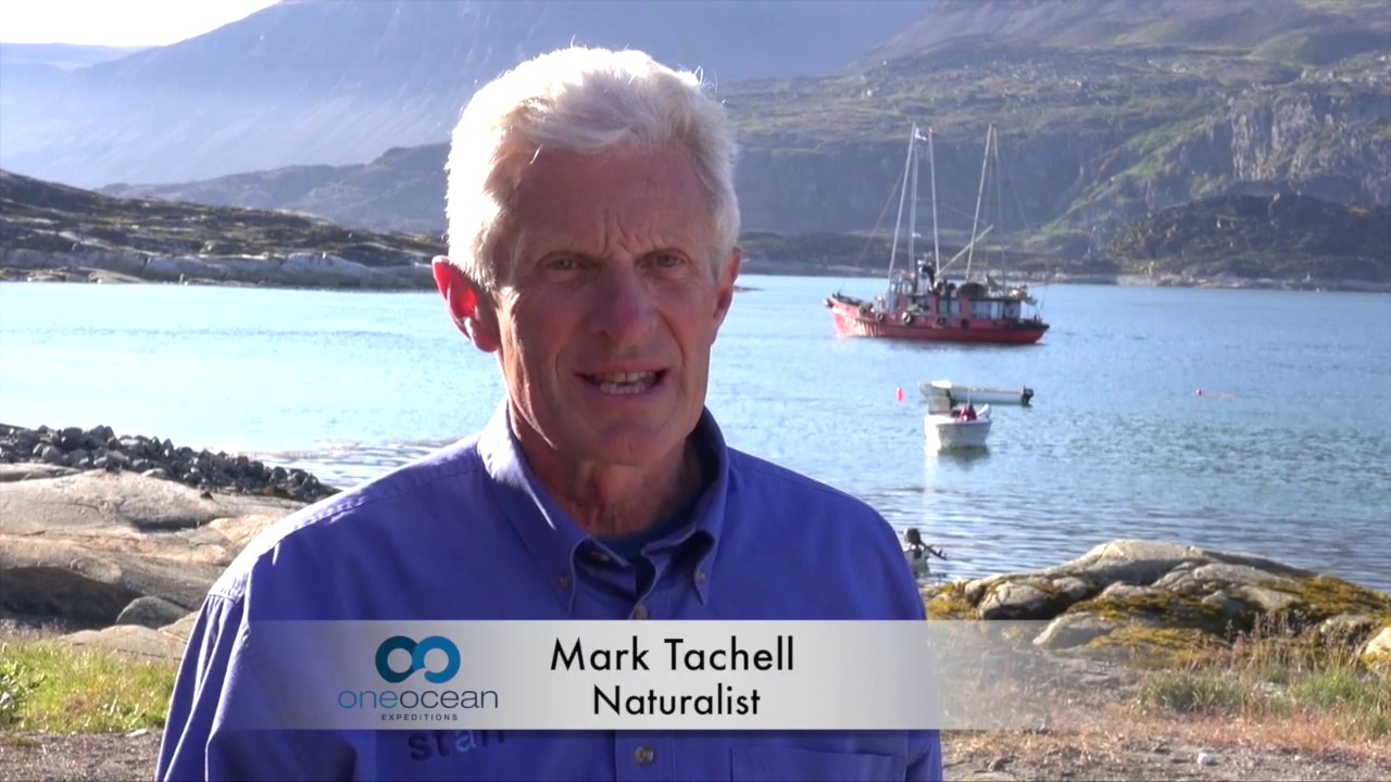 Scientists in the Arctic