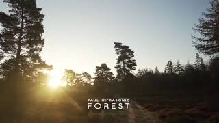 Paul Infrasonic - Forest (Video Trailer)