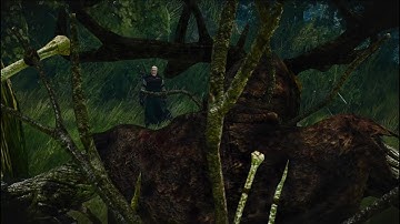 The Witcher 3: Wild Hunt Next Gen Walkthrough - Part 57 - Contract: Lord of the Wood - 1440P 60FPS